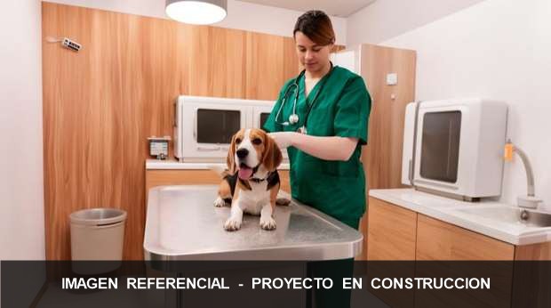 Veterinaria y enfermería
