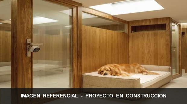 Suites del hotel