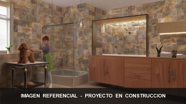 Peluquería y spa